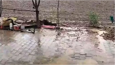 Photo of जींद में आंधी से गिरे 112 खंभे और 10 ट्रांसफार्मर