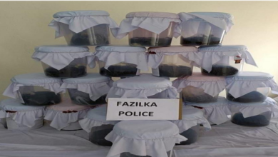 Photo of पंजाब पुलिस के हाथ लगी सबसे बड़ी अफीम की खेप