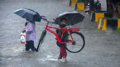 Photo of हरियाणा: ठंडे बस्ते में NDRF की स्थायी यूनिट लगाने का प्रस्ताव