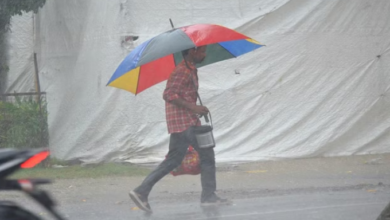 Photo of आधे हरियाणा में मानसून की दस्तक, आज पूरे प्रदेश में होगा सक्रिय