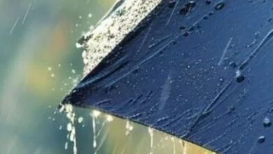 Photo of आज से दक्षिणी पूर्व जिलों में होगी बारिश