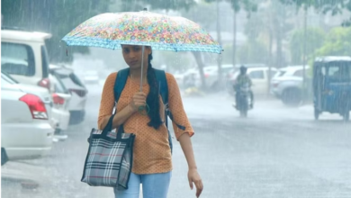 Photo of पंजाब : कुछ जगहों पर तेज बारिश से गिरा पारा