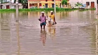 Photo of यूपी में बाढ़-बारिश से हाहाकार, 24 घंटे में 10 लोगों की मौत