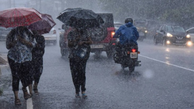 Photo of पंजाब के 12 जिलों में भारी बारिश की चेतावनी