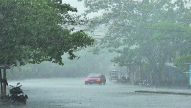 Photo of पंजाब में झमाझम बारिश…