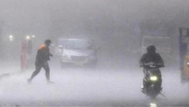 Photo of पंजाब के इन जिलों में 10 बजे तक बारिश का अलर्ट