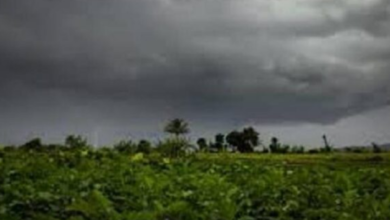 Photo of हरियाणा में येलो अलर्ट जारी, पश्चिमी विक्षोभ सक्रिय.. 