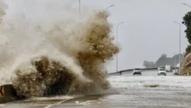 Photo of तूफान गेमी से चीन में हो रही भारी बारिश, एक घर में मिट्टी धंसने से 11 लोगों की मौत