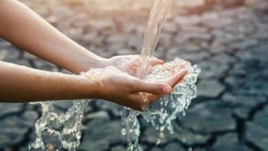 Photo of जालंधर: गंदे पानी को लेकर नगर निगम ने जारी की एडवाइजरी