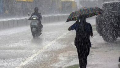 Photo of पंजाब में बदला मौसम, झमाझम बारिश से उमस भरी गर्मी से मिली राहत