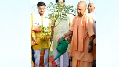 Photo of सीएम योगी: व्यापक जनसहभागिता से एक दिन में 36.50 करोड़ पौधरोपण का बना नया कीर्तिमान