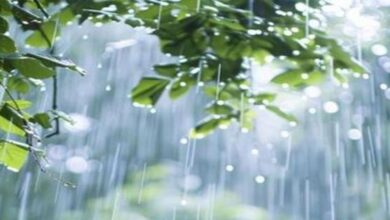 Photo of पंजाब के इन जिलों में जारी हुआ बारिश का अलर्ट