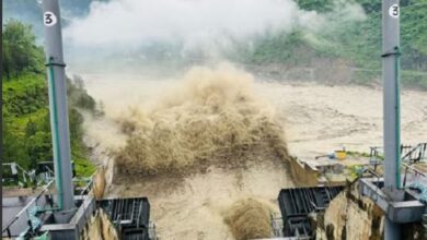 Photo of हिमांचल की बारिश पंजाब में मचाएगी तबाही! 24 घंटे के बीच हुआ हाल-बेहाल…