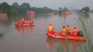 Photo of सरयू नदी का कहर: लहरों में बहा एनएच-31, तीन हजार की आबादी पानी में घिरी…