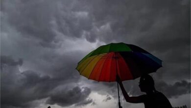 Photo of हरियाणा में आज फिर एक्टिव होगा मानसून: 3 जिलों में बारिश के आसार
