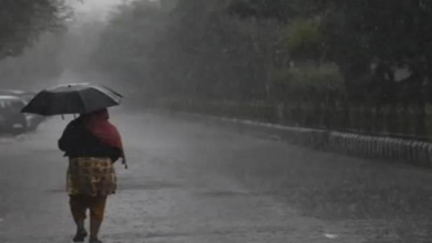 Photo of पंजाब में बारिश को लेकर आई बड़ी खबर
