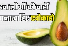 Photo of हर किसी के लिए फायदेमंद नहीं है Avocado, इन लोगों को रहना चाहिए इससे दूर