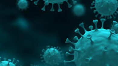 Photo of पंजाब में कोरोना का पहला केस: मोहाली में एक महिला पाई गई पॉजिटिव