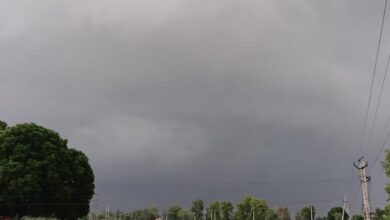 Photo of हरियाणा में छाया मानसून: पानीपत समेत कई जिलों में सुबह से झमाझम बारिश