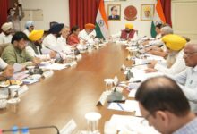 Photo of नकली बीजों की बिक्री गैर-जमानती अपराध होगी; मुख्यमंत्री के नेतृत्व में कैबिनेट ने लगाई मुहर