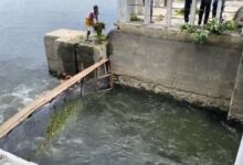 Photo of  पिछोला झील का जलस्तर 10 फीट पहुंचा, जल्द ओवरफ्लो होने की उम्मीद
