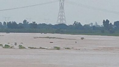 Photo of पंजाब: बाढ़ से भीषण तबाही, 1018 गांव डूबे, सेना, NDRF व पुलिस का रेस्क्यू जारी