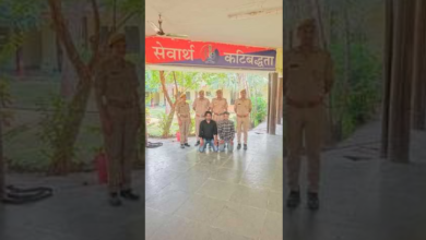 Photo of जालौर : बिजली लाइन प्रोजेक्ट में ठेकेदार ने की हेराफेरी, साइट पर नहीं पहुंची 67 लाख की सप्लाई