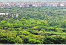Photo of साफ हवा और हरियाली के लिए डीडीए की 16 नई परियोजनाएं