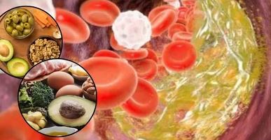 Photo of नसों में जमा कोलेस्ट्रॉल साफ करते हैं ये 5 फूड्स