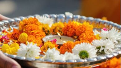 Photo of  सर्वपितृ अमावस्या पर करें तुलसी चालीसा का पाठ