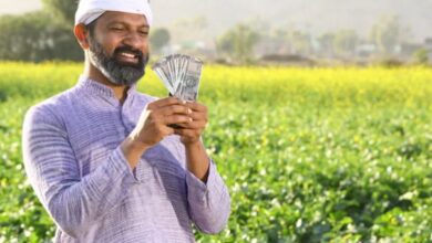 Photo of सितंबर में मालामाल करने वाली फसल, लाखों का होगा मुनाफा