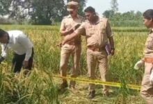 Photo of यूपी: डंडे से पीटकर बुजुर्ग महिला की हत्या, खेत में फेंका शव