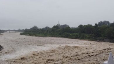 Photo of बिहार के 38 जिलों में आठ सितंबर तक बारिश के आसार; कोसी-गंगा उफान पर…