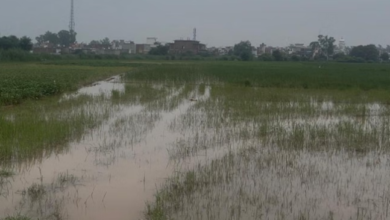Photo of हरियाणा: मारकंडा, खतरे के निशान से 11 हजार क्यूसेक नीचे आया पानी का बहाव
