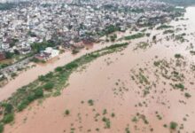 Photo of अंबाला-भूना में घरों में घुसा पानी, 3 ड्रेनों में आई दरार; लाडवा में तटबंध टूटा