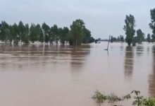 Photo of पंजाब में नया खतरा: दरियाओं ने स्वरूप बदला, बढ़ गया बाढ़ क्षेत्र
