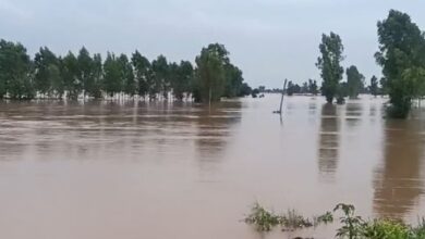 Photo of पंजाब में नया खतरा: दरियाओं ने स्वरूप बदला, बढ़ गया बाढ़ क्षेत्र