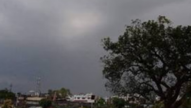 Photo of राजस्थान: अगले दो दिन इन जिलों के लिए बारिश का यलो अलर्ट