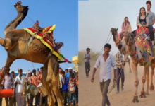 Photo of राजस्थान: ब्रह्मा आरती के साथ आज होगा ‘पुष्कर मेला’ का आगाज