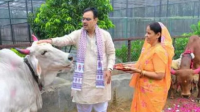 Photo of राजस्थान: गोपाष्टमी पर सीएम ने की गाय की पूजा गौसंवर्धन पर दिया जोर