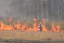 Photo of पंजाब में पराली जलाने का रिकॉर्ड टूटा, एक दिन में 283 मामले