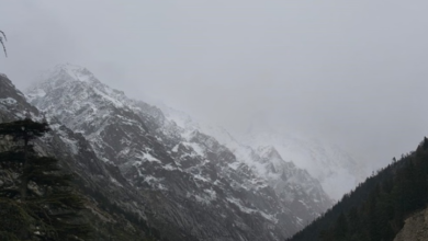 Photo of पहाड़ में बर्फबारी का दून में असर, चार डिग्री गिरा पारा