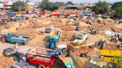 Photo of पंजाब: मंडियों में धान पर बारिश की मार, सुखाने में जुटे किसान