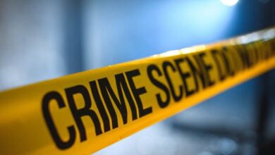 Photo of रोहतक में मर्डर: बदमाशों ने ई-रिक्शा चालक को मारे चाकू