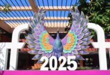 Photo of हरियाणा की झांकी ने अंतर्राष्ट्रीय फिल्म महोत्सव गोवा में बिखेरी अपनी संस्कृति