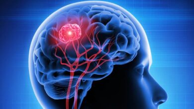 Photo of वैज्ञानिकों ने सुलझाया दिमाग का यह रहस्य