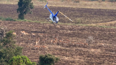 Photo of मध्यप्रदेश में चला देश का पहला हाई-टेक वन्यजीव कैप्चर अभियान