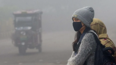 Photo of हरियाणा में दिन व रात का तापमान लुढ़कने से बढ़ी ठंड