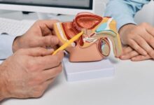 Photo of विटामिन डी की कमी से पुरुषों में बढ़ जाता है प्रोस्टेट कैंसर का खतरा