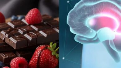 Photo of डार्क चॉकलेट और बेरीज से बढ़ेगी याददाश्त, स्ट्रेस भी होगा कम